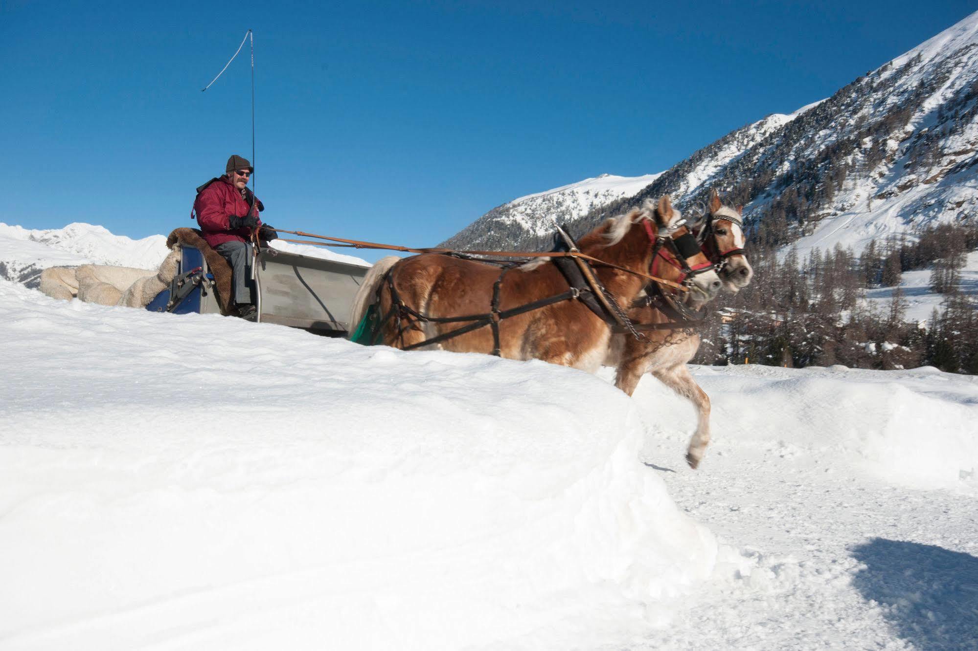 Youth Pontresina